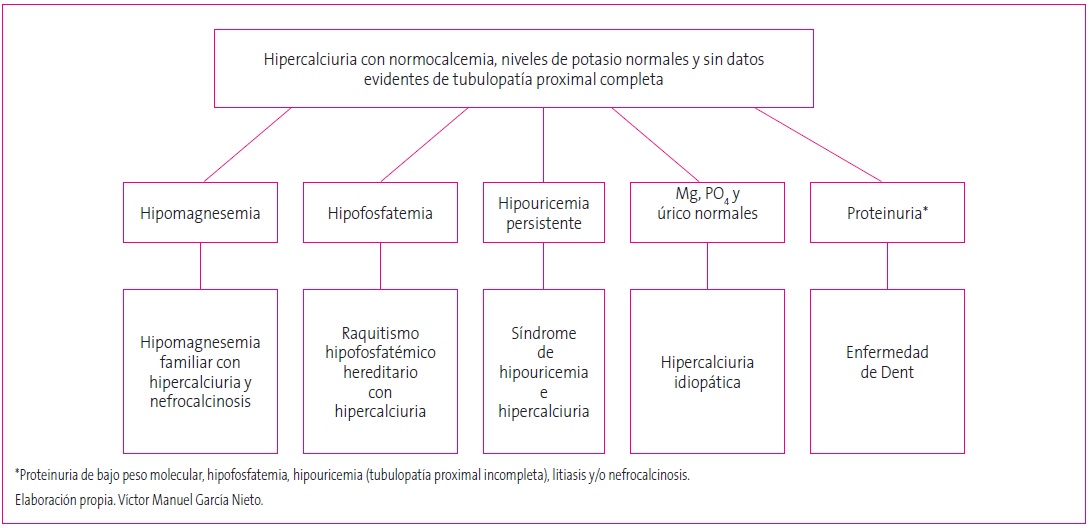 Figura 3. Algoritmo diagnóstico de la hipercalciuria con normocalcemia, niveles de potasio normales y sin datos evidentes de tubulopatía proximal completa.