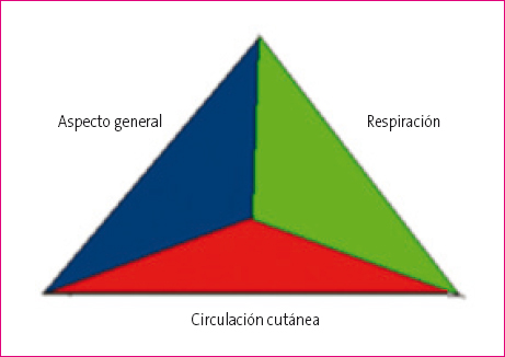 Figura 1. Triángulo de evaluación pediátrica