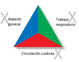 figura2