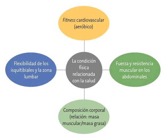 Figura 1. Condición física relacionada con la salud y con el rendimiento deportivo.