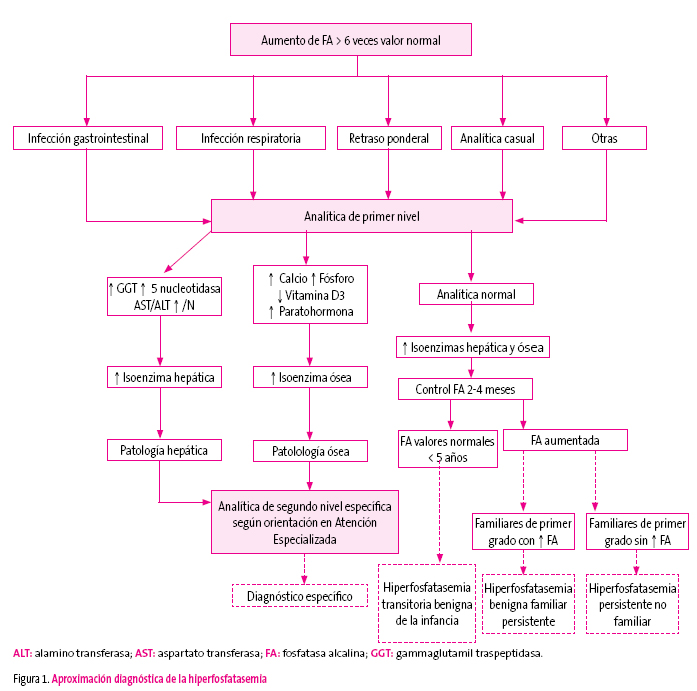 Figura 1. Aproximación diagnóstica de la hiperfosfatasemia