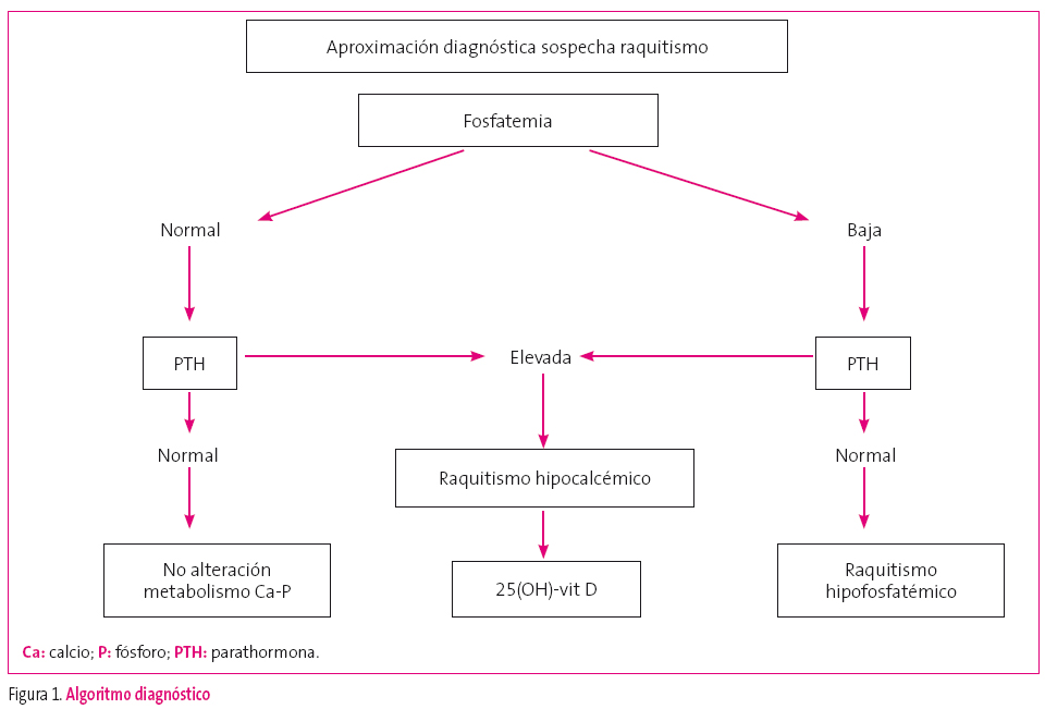 Figura 1. Algoritmo diagnóstico