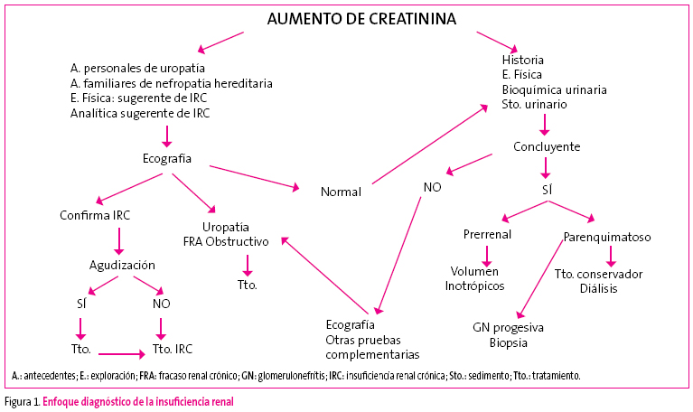 Figura 1. Enfoque diagnóstico de la insuficiencia renal