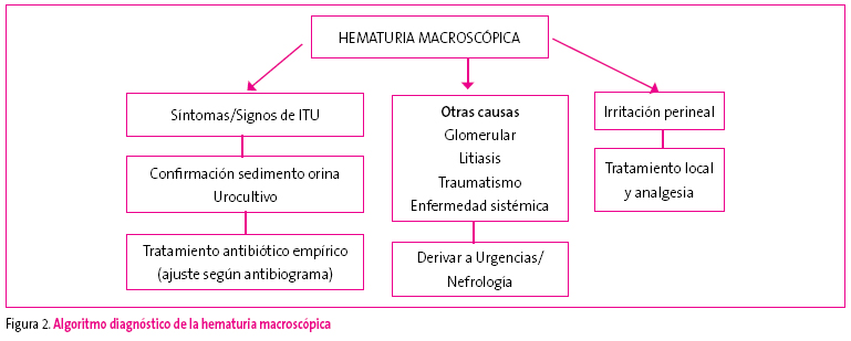 Figura 2. Algoritmo diagnóstico de la hematuria macroscópica