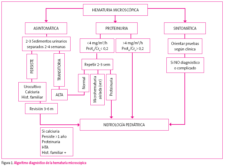 Figura 1. Algoritmo diagnóstico de la hematuria microscópica